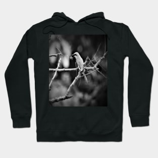 Cannot beat the beauty of nature Hoodie